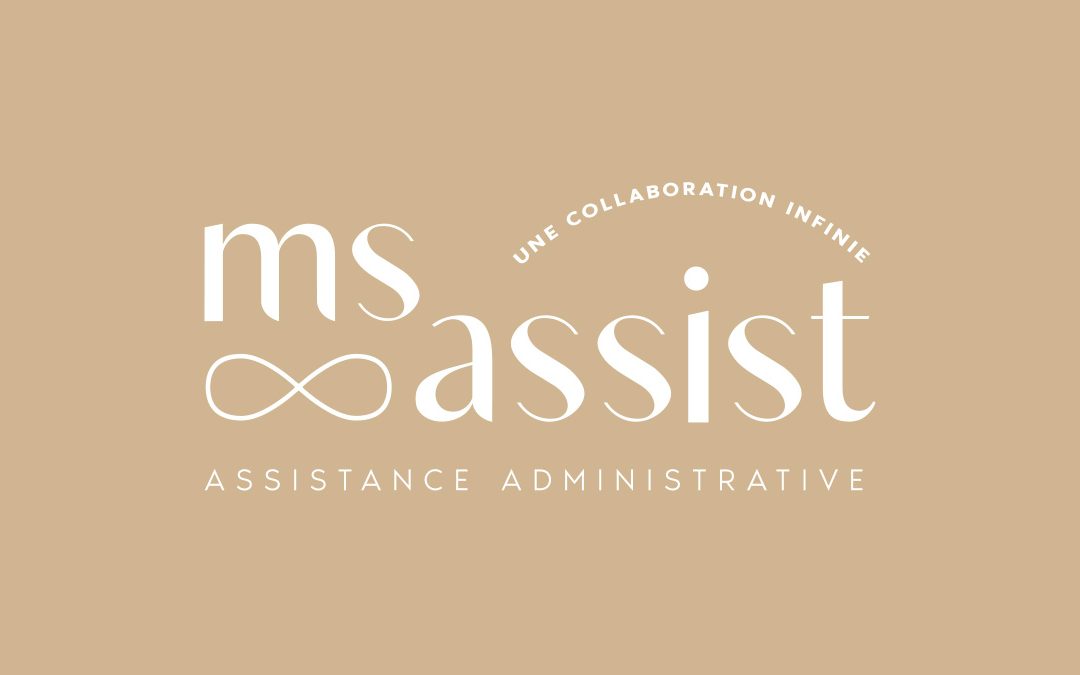 MS Assist